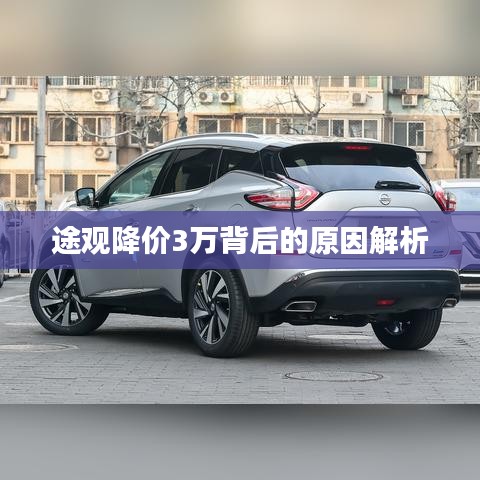 新闻动态 第515页