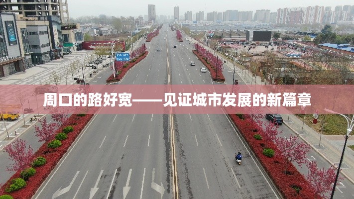 周口的路好宽——见证城市发展的新篇章