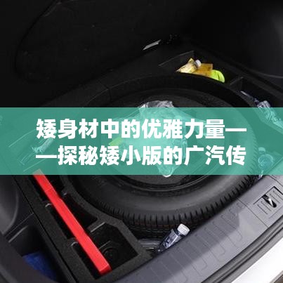 富贵荣华 第5页