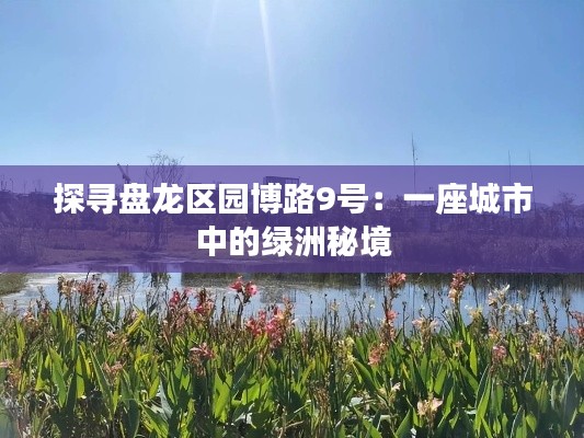 探寻盘龙区园博路9号：一座城市中的绿洲秘境