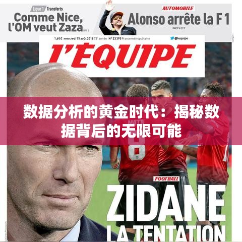 数据分析的黄金时代：揭秘数据背后的无限可能
