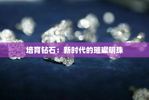 报名咨询 第480页