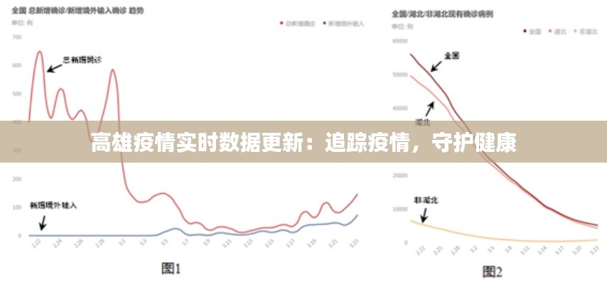 高雄疫情实时数据更新：追踪疫情，守护健康