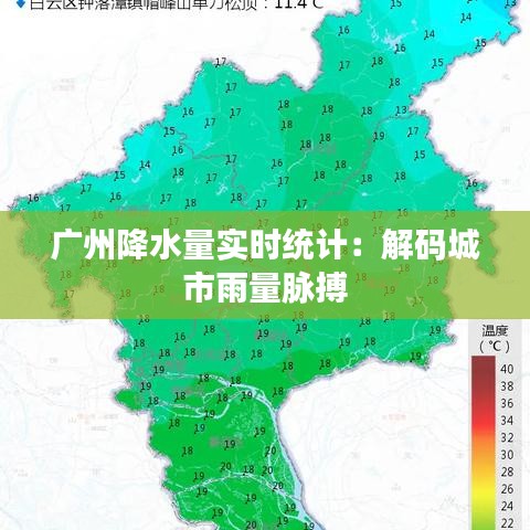 广州降水量实时统计：解码城市雨量脉搏