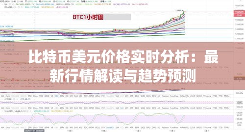 比特币美元价格实时分析：最新行情解读与趋势预测