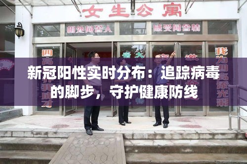 新冠阳性实时分布：追踪病毒的脚步，守护健康防线