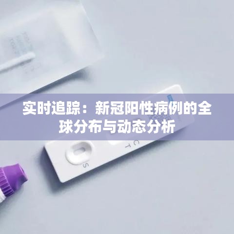实时追踪：新冠阳性病例的全球分布与动态分析
