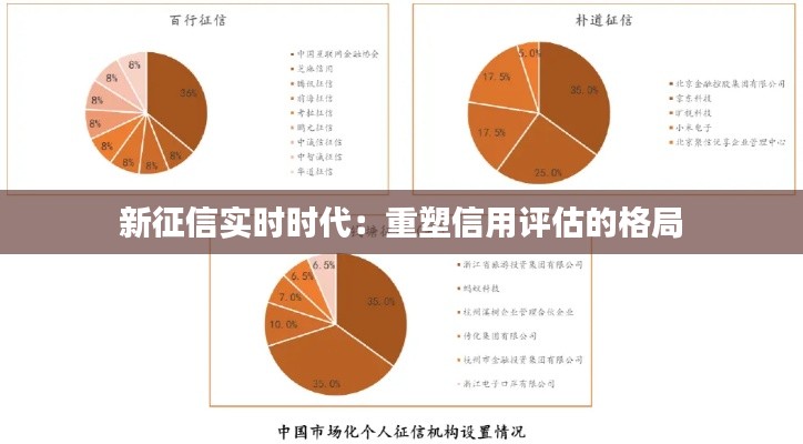 新征信实时时代：重塑信用评估的格局