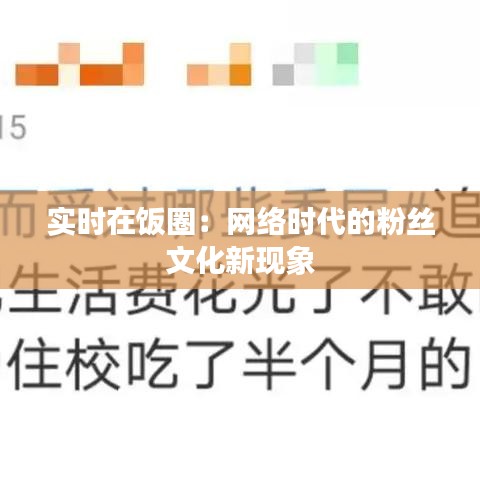 实时在饭圈：网络时代的粉丝文化新现象