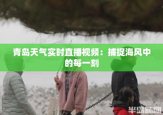青岛天气实时直播视频：捕捉海风中的每一刻