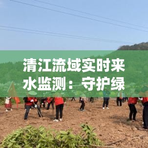 清江流域实时来水监测：守护绿水青山的科技利器