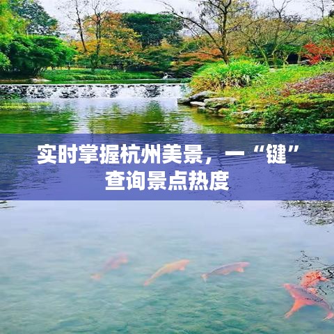 实时掌握杭州美景，一“键”查询景点热度