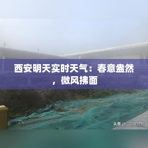 西安明天实时天气：春意盎然，微风拂面