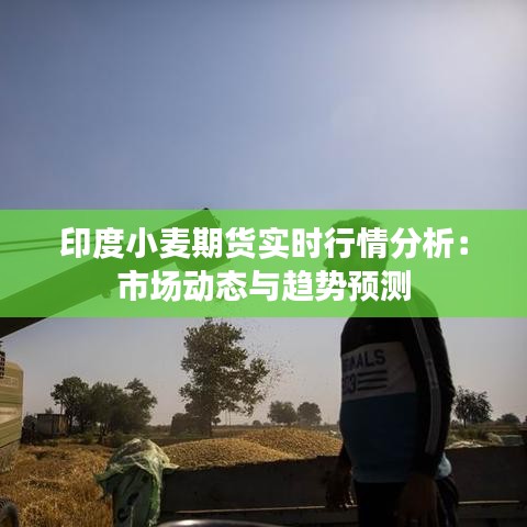 印度小麦期货实时行情分析：市场动态与趋势预测