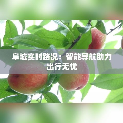 鞭驽策蹇 第5页