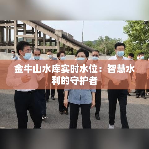 金牛山水库实时水位：智慧水利的守护者