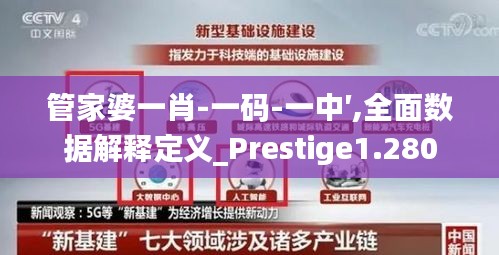 管家婆一肖-一码-一中′,全面数据解释定义_Prestige1.280