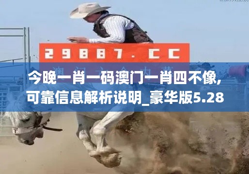 今晚一肖一码澳门一肖四不像,可靠信息解析说明_豪华版5.288