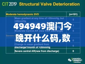494949澳门今晚开什么码,数据整合计划解析_创新版2.596