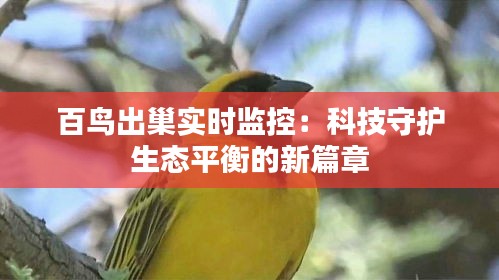 百鸟出巢实时监控：科技守护生态平衡的新篇章