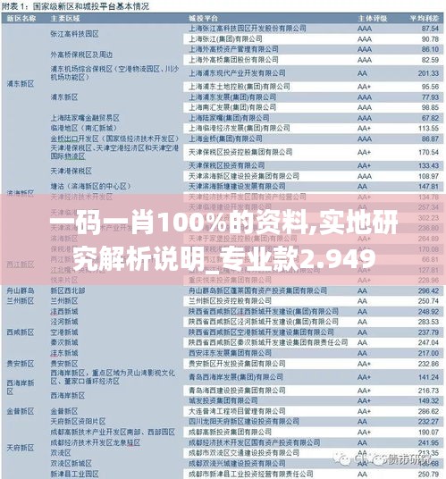 一码一肖100%的资料,实地研究解析说明_专业款2.949