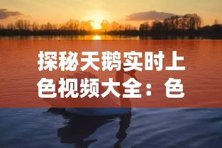 火伞高张 第5页
