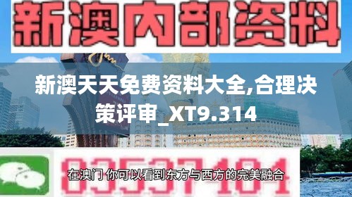 新澳天天免费资料大全,合理决策评审_XT9.314