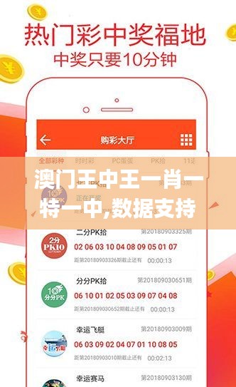 澳门王中王一肖一特一中,数据支持执行方案_升级版8.487