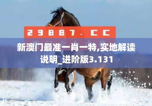 新澳门最准一肖一特,实地解读说明_进阶版3.131