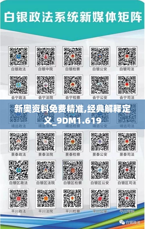 新奥资料免费精准,经典解释定义_9DM1.619