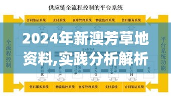 2024年新澳芳草地资料,实践分析解析说明_YE版3.506