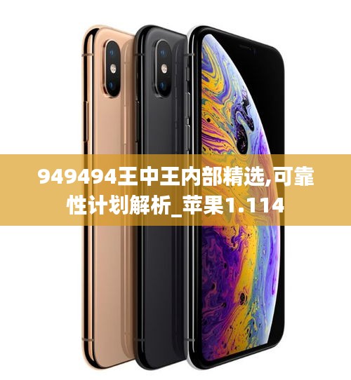 949494王中王内部精选,可靠性计划解析_苹果1.114