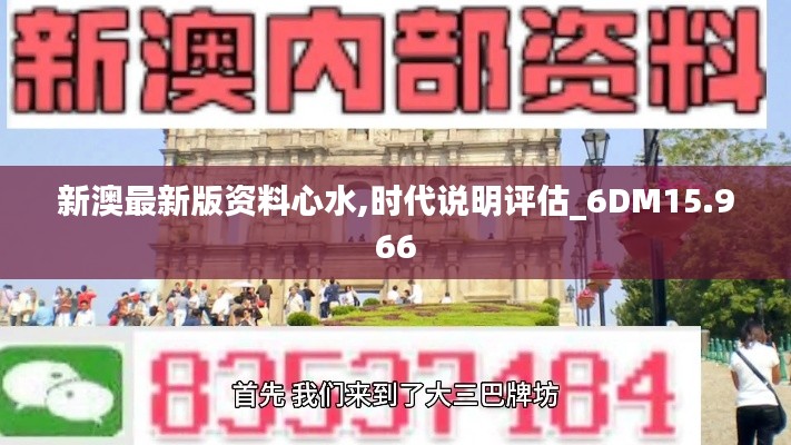 新澳最新版资料心水,时代说明评估_6DM15.966