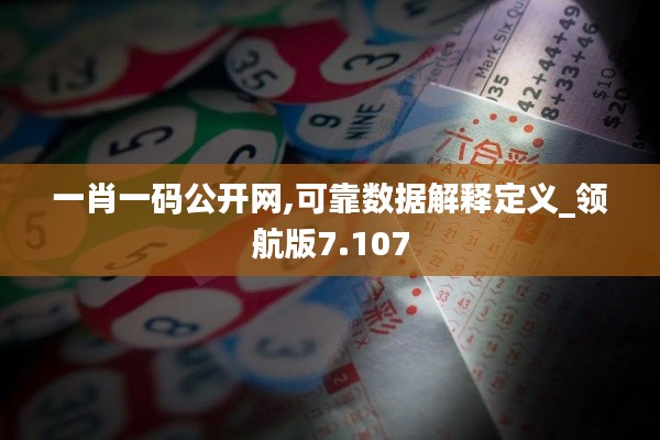 一肖一码公开网,可靠数据解释定义_领航版7.107