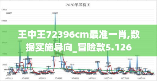 王中王72396cm最准一肖,数据实施导向_冒险款5.126