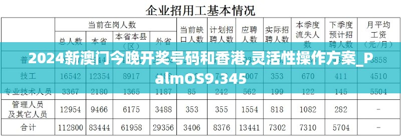 2024新澳门今晚开奖号码和香港,灵活性操作方案_PalmOS9.345