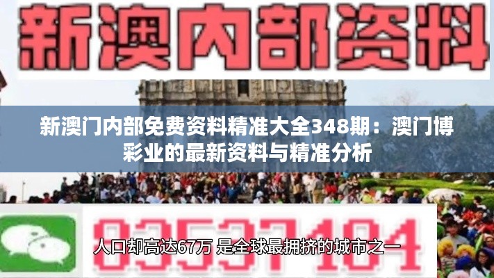 新澳门内部免费资料精准大全348期：澳门博彩业的最新资料与精准分析