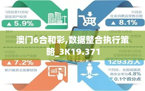 澳门6合和彩,数据整合执行策略_3K19.371