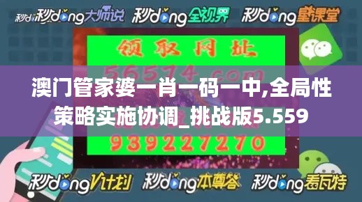 澳门管家婆一肖一码一中,全局性策略实施协调_挑战版5.559