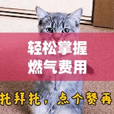 轻松掌握燃气费用余额：实时查询攻略