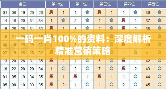 一码一肖100%的资料：深度解析精准营销策略