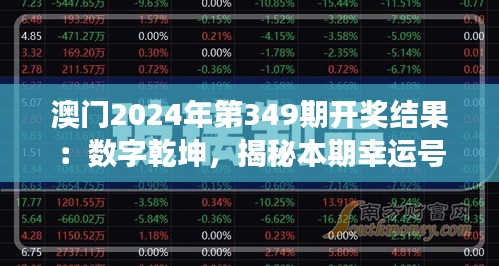 澳门2024年第349期开奖结果：数字乾坤，揭秘本期幸运号码