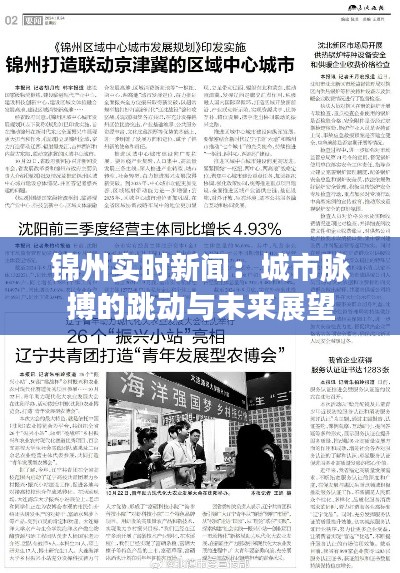 锦州实时新闻：城市脉搏的跳动与未来展望