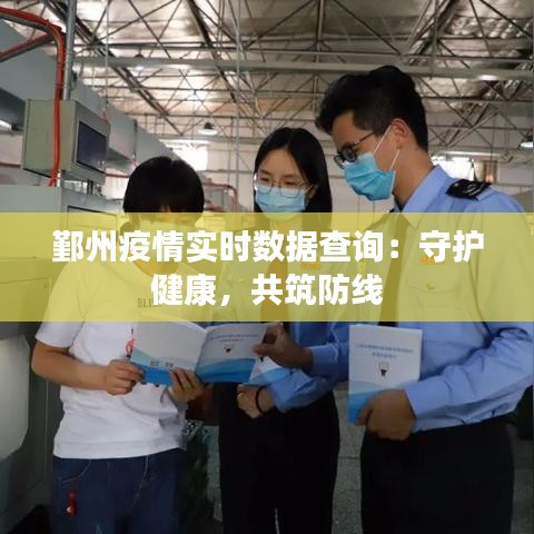 鄞州疫情实时数据查询：守护健康，共筑防线