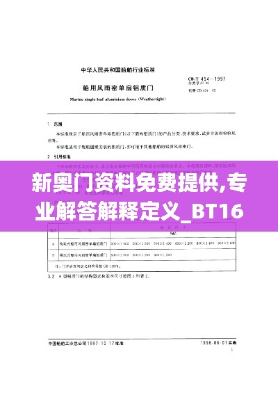 新奥门资料免费提供,专业解答解释定义_BT16.263