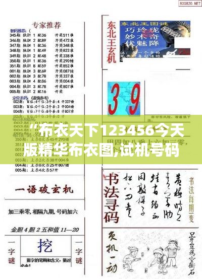 “布衣天下123456今天版精华布衣图,试机号码：探究试机号码背后的设计哲学与布衣美学”
