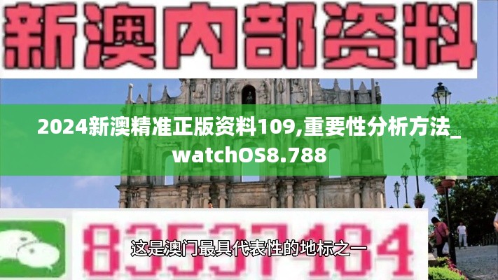2024新澳精准正版资料109,重要性分析方法_watchOS8.788