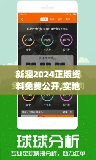 新澳2024正版资料免费公开,实地验证执行数据_2DM6.409
