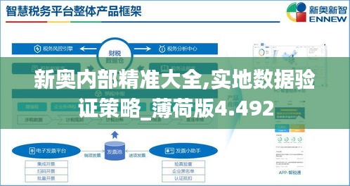 新奥内部精准大全,实地数据验证策略_薄荷版4.492