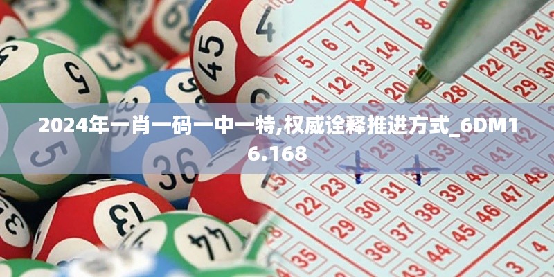 2024年一肖一码一中一特,权威诠释推进方式_6DM16.168